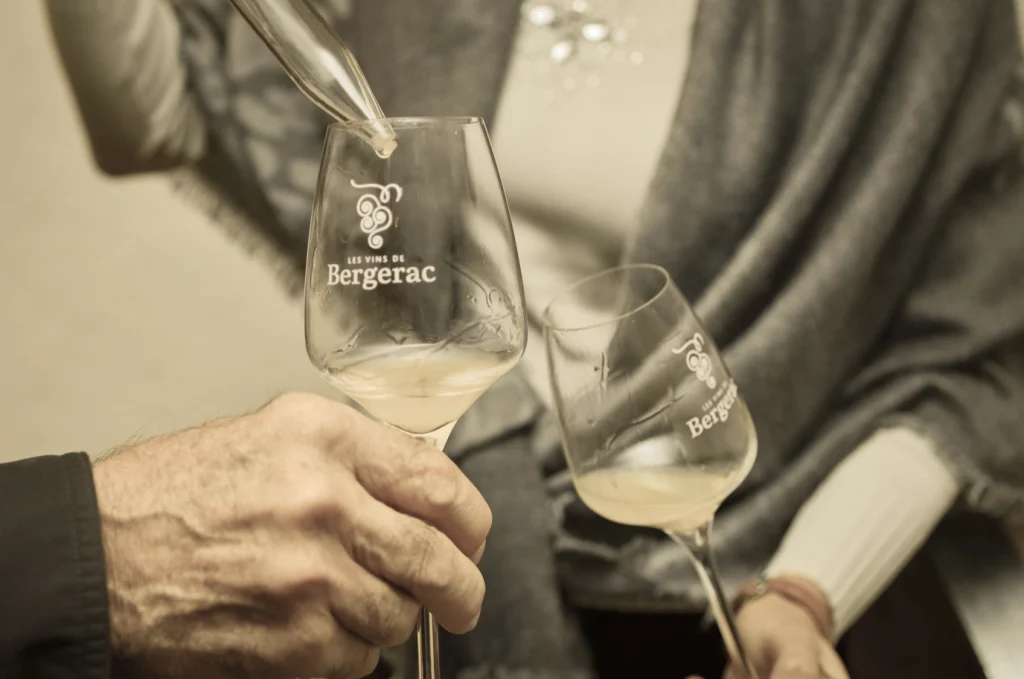 Mains tenant des verres de dégustation, vin blanc